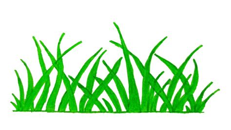 drawn grass